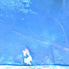 Wisp